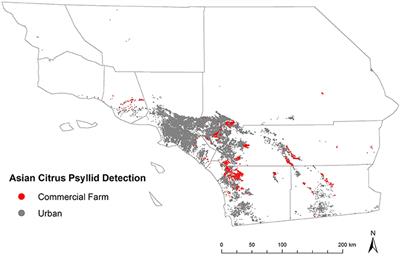 Quantifying Spillover of an Urban Invasive Vector of Plant Disease: Asian Citrus Psyllid (Diaphorina citri) in California Citrus